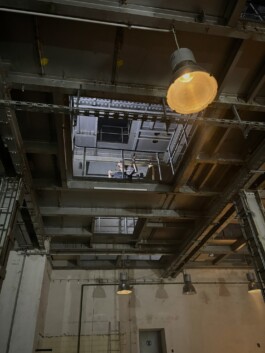 ross alexander payne_