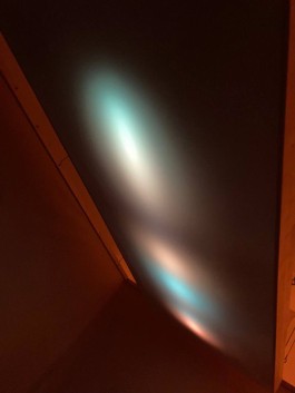 ross alexander payne_