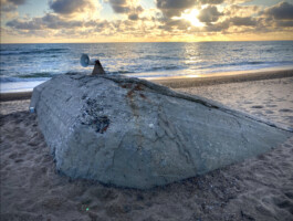 ross alexander payne_