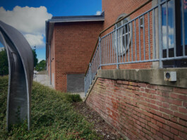 ross alexander payne_