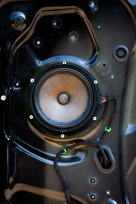 ross alexander payne_