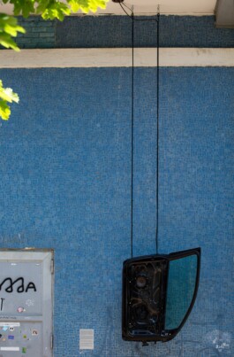 ross alexander payne_