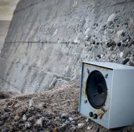 ross alexander payne_