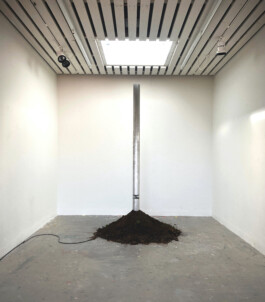 ross alexander payne_