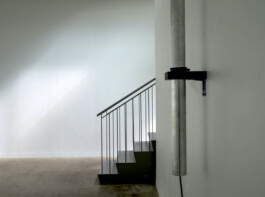 ross alexander payne_