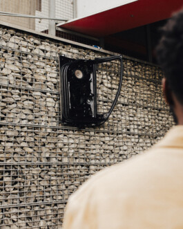 ross alexander payne_