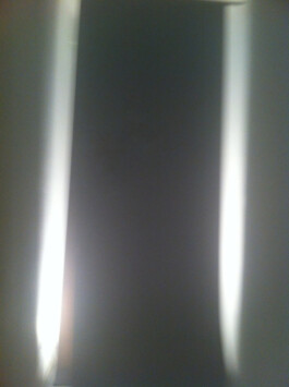 ross alexander payne_